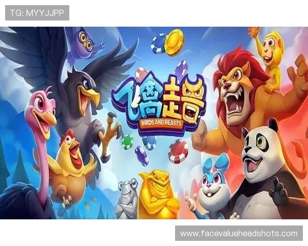 瓦力娱乐棋牌官网新手入门攻略与高玩必备技巧分享